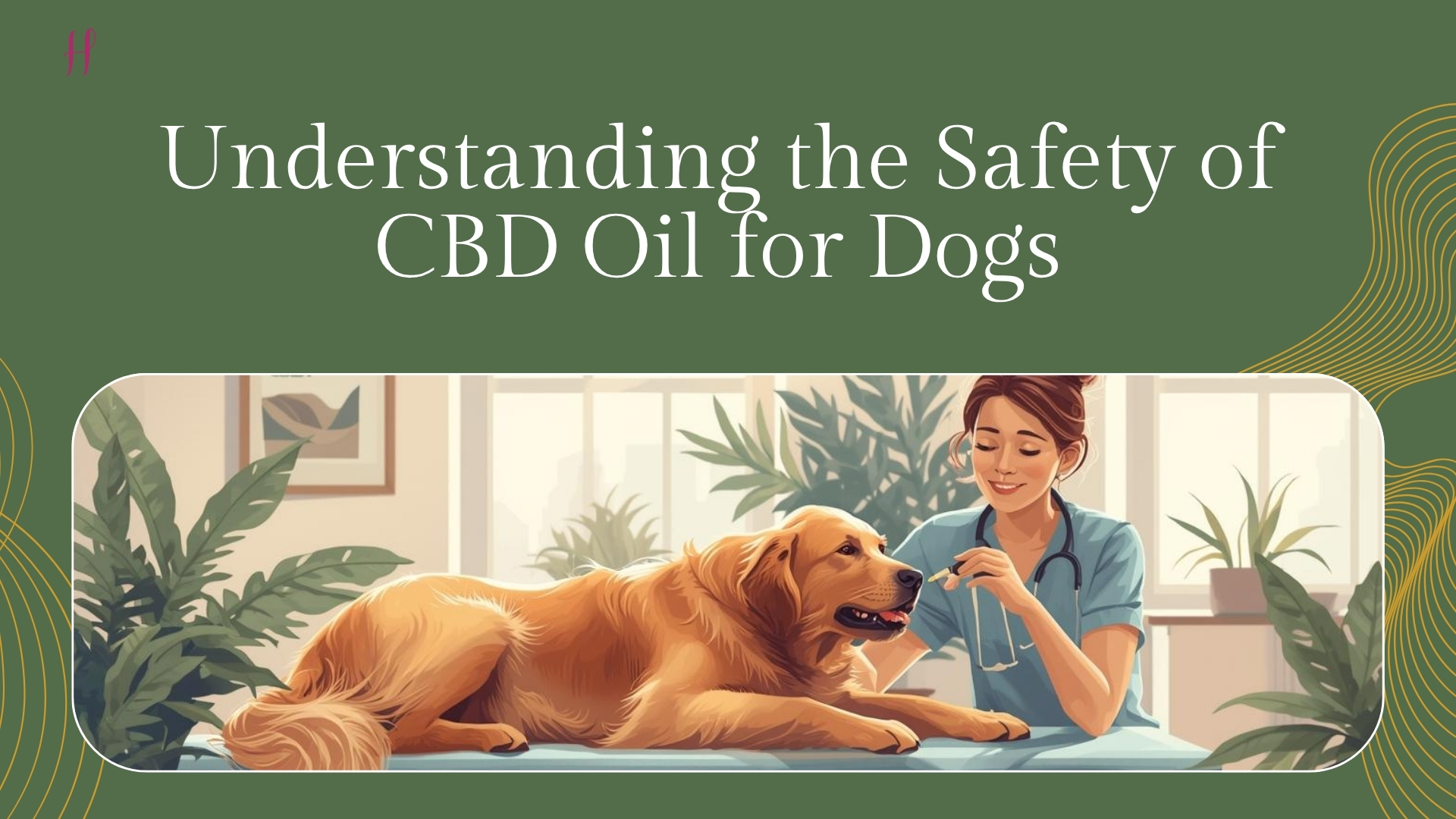 Can CBD oil help dog's?
